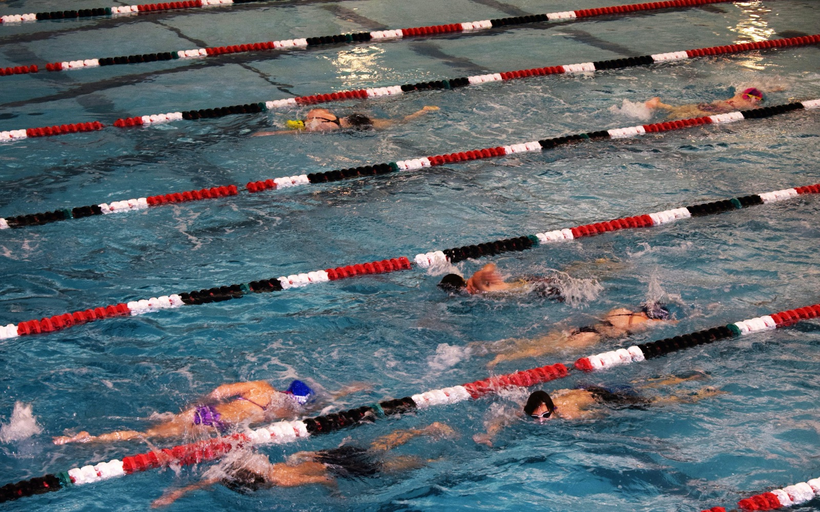 Swimmers training in marked lanes at an indoor pool