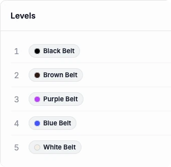 The belt ladder on the dashboard: five colour-coded belts from Black Belt down to White Belt