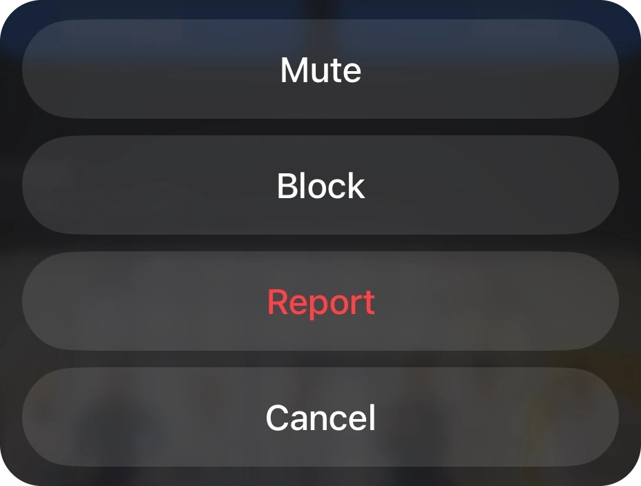 The options on another member’s profile: Mute, Block, Report and Cancel