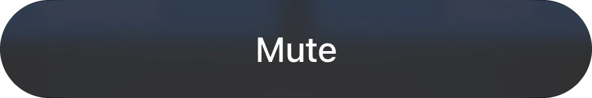 The Mute button